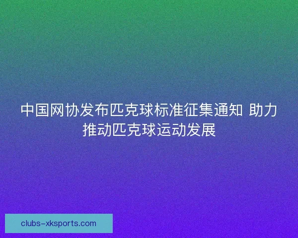 中国网协发布匹克球标准征集通知 助力推动匹克球运动发展